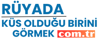 ruyadakusoldugunbirinigormek.com.tr